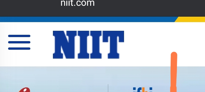 Niit Ltd 